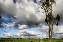 熊猫tv：邱彪：球队发挥超出预期 摆正位置继续努力.